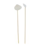 Shell Bamboo Picks - 2 Designs - Image 10