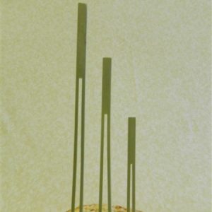 Double Prong Bamboo Skewer/Pick - 3 Sizes