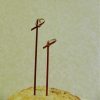Knotted Bamboo Picks - 6 Sizes and 2 Colors