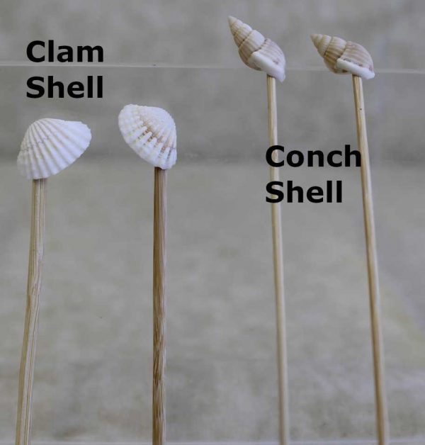4.5" Bamboo Shell Picks - 2 Varieties